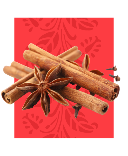 Masala Palace - Manger indien -Toulouse - Restaurant sympa Toulouse