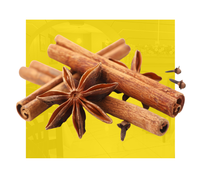 Masala palace - restaurant indien toulouse - Place du capitole - les meilleurs restaurant de TOULOUSE